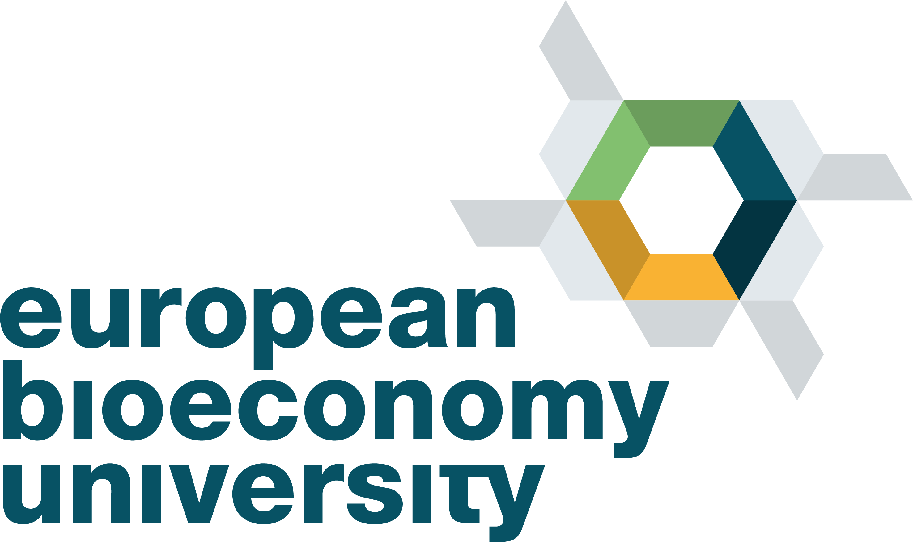 RZ EuropeanBioeconomyUniversity Logo