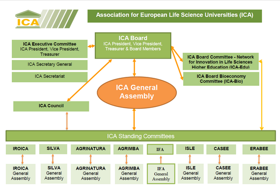 ICA Organisation Chart 21 04 07 570 pxl
