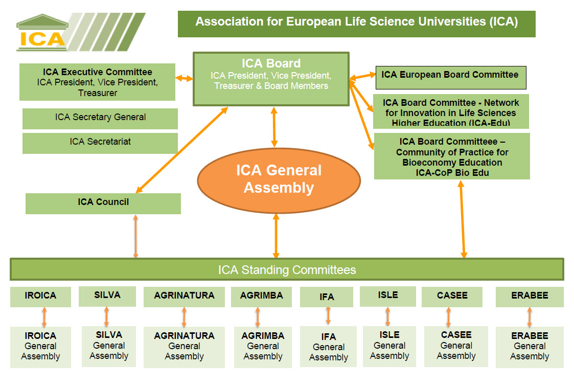 ICA Organisation Chart 23 06 13