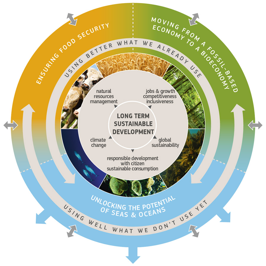 bioeconomy graphic full